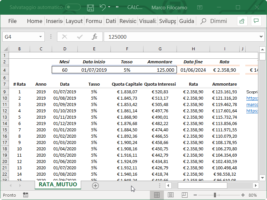 Scopri Come Calcolare La Rata Del Mutuo Con Excel!