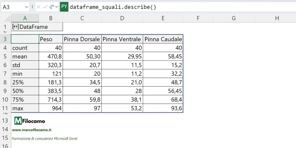 DESCRIZIONE_EXCEL_MARCOFILOCAMO