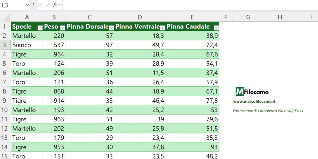 SQUALI_DB_EXCEL_MARCOFILOCAMO