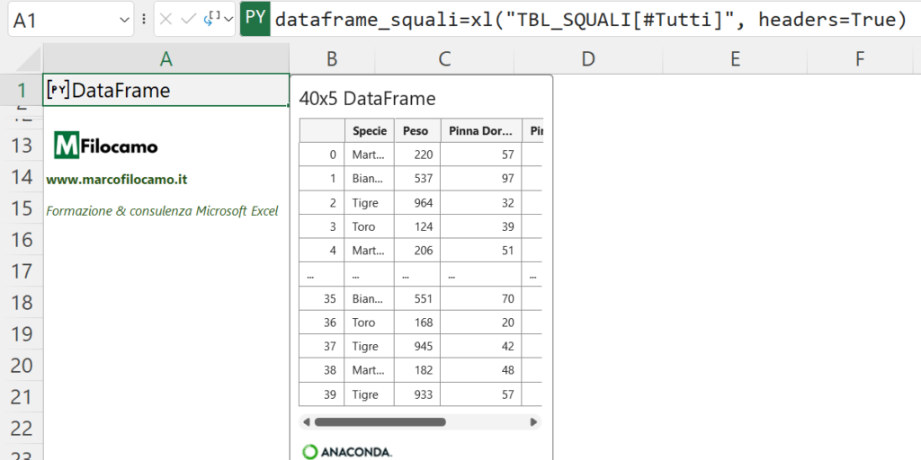 ANTEPRIMA_DATAFRAME_PYTHON_IN_EXCEL_MARCOFILOCAMO